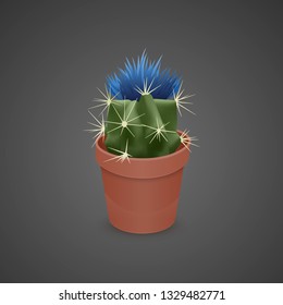 Flowering Cactus isolated on dark background. Realistic Cactus in colorful ceramic pot. Vector EPS 10 illustration