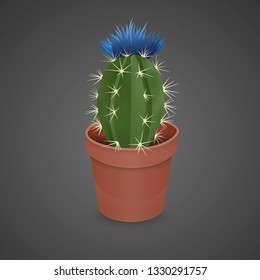 Flowering Cactus isolated on dark background. Realistic Cactus in colorful ceramic pot. Vector EPS 10 illustration