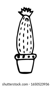Cactus floridos aislados sobre un fondo blanco. Estilo dibujado a mano. Esbozo, contorno negro. Ilustración vectorial.