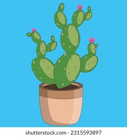 Flowering Cactus planted in ceramic pot