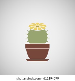 Flowering cactus in a pot