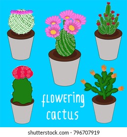flowering cactus vector