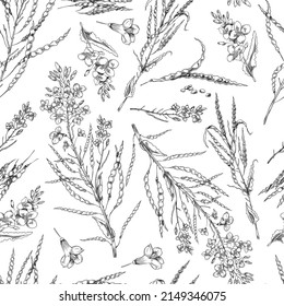 Flowering Canola, Canola Seed Pod, Canola Flowers On A Branch, Canola Oil In A Bottle, Seamless Pattern Of Vector, Sketch Monochrome Illustrations On White Background