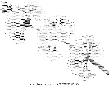 Flowering cherry blossom branch in halftone monotone style for spring nature designs