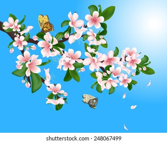 Flowering cherry branch with butterflies and flying petals on a blue sky background. Vector illustration.