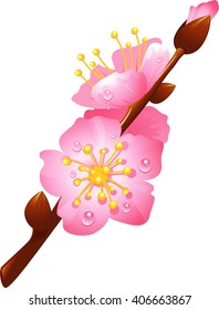 flowering cherry branch with drops of dew, eps 10