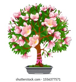 Flowering cherry tree Sakura in a pot, ikebana isolated on a white background. Vector cartoon close-up illustration