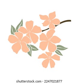 Flowering fruit tree branch color stencil clip art. Delicate spring fragrance of flowers vector illustration. Blossoming of apple, sakura, almond, apricot, peach