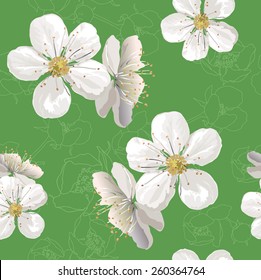 Blüte im Garten