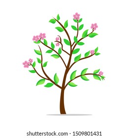 flowering green leaf tree with white background. illustration vector
