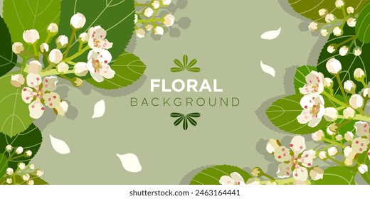 Flowering hawthorn branches in vector. White flowers on branches with foliage in vector. Hawthorn blossom in vector, flat style.