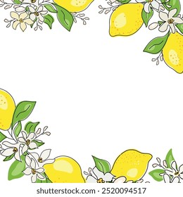 Flowering lemon branches. Branch frame with lemons, leaves and blossom flowers vector set of frames branch lemon illustration. Black line. 