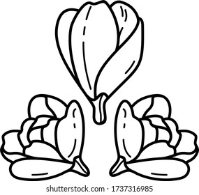 Flowering Magnolia Icon In Outlines