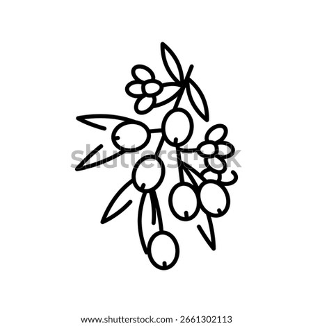 flowering olive black line icon. Vector isolated element. Editable stroke.