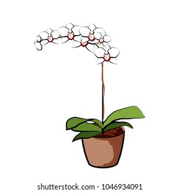 Flowering orchid in a clay pot. Element of home decor. The symbol of growth and ecology. Vector illustration. Eps 10
