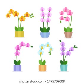 Flowering orchids. Flat icon set. Exotic tropical flowers in the pots. Blooming phalaenopsis houseplants isolated on white background. Home décor. Vector illustration