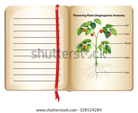 Similar – Image, Stock Photo Stems and leaves