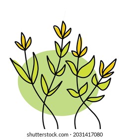 plantilla de diseño de planta de floración, adecuada para elementos de diseño gráfico para mujeres y belleza