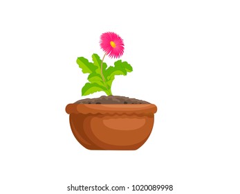 Flowering Plant in a Pot - Cartoon Vector Image