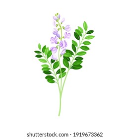 小花柄库存插图 图片和矢量图 Shutterstock