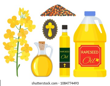 Flowering rapeseed, seeds, emblem and oil in a canola bottle. Brassica napus. flat Isolated vector illustration on white background in cartoon style.