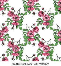 Flowering rose hip branches. Seamless pattern