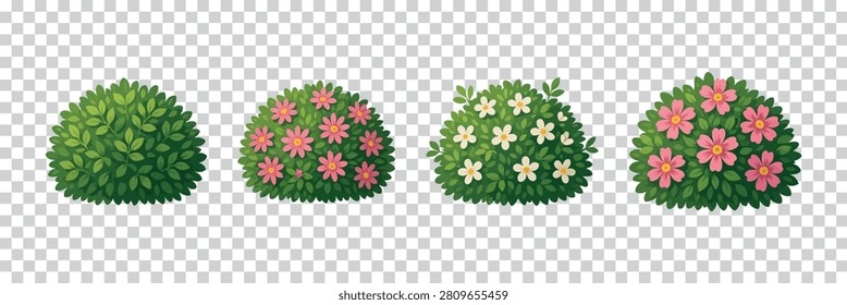 Flowering shrub collection with transparent silhouette and varying bloom stages