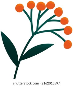 Flowering stalk of orange rape flowers. Wild field grass. Small ripe berries on branch in garden. Spring blossom element for card design. Delicate flowers with green leaves vector isolated on white