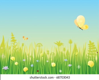 Flowering summer meadow