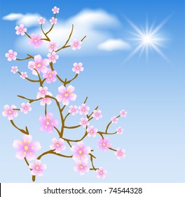 Flowering tree against a background of clouds