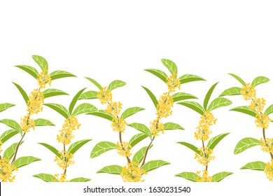 Flowering tree background and borders with fragrant tea olive, sweet olive or osmanthus fragrans.  Floral tree frame border seamless pattern. Great for wallpaper, gifts, textile,  packaging design.
