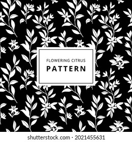 Flowering tree of the citrus family. Branch with flowers, buds and leaves. Graphic arts. Decorative composition of plant