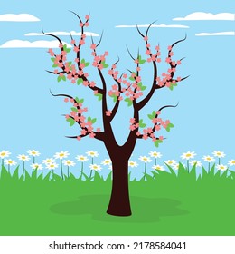 flowering tree in a field with daisies