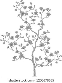 flowering tree with flowers in black and white