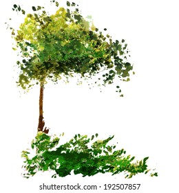 Flowering tree on a white background