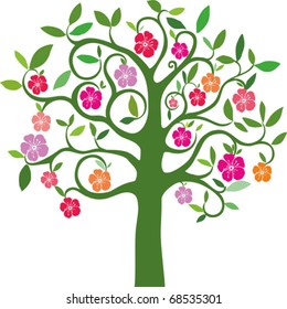 flowering tree on a white background