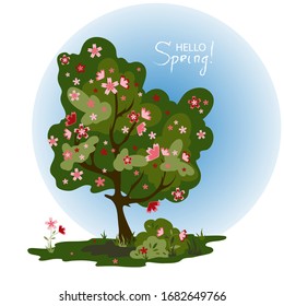 Flowering tree with pink flowers. Vector cartoon close-up illustration. Hello Spring