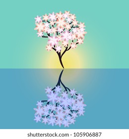 Flowering tree reflecting in the water