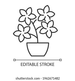 Flowering tree shrubs linear icon. Creating beatiful landscape near home with use of flowers. Thin line customizable illustration. Contour symbol. Vector isolated outline drawing. Editable stroke