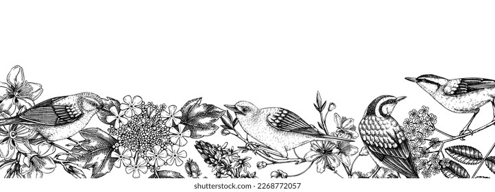 Flowering trees with birds banner. Vintage frame designs with birds, flowers, blooming branches sketches. Hand drawn almond, willow, rowan, willow, cherry blossom isolated on white background