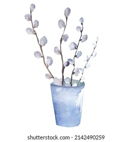 flowering willow tree branches, willow vector illustration