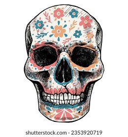 Flower-painted human skull. The Day of the Dead. Beautiful colorful illustration isolated on white.