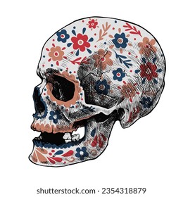 Flower-painted human skull. The Day of the Dead. Beautiful colorful illustration isolated on white.