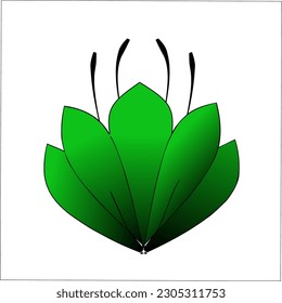 flower-petaled grass with green leaves.