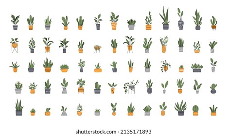 Flowerpot big set. Collection of elements for website and social network stickers. Gardening and botany, different plants and flowers. Cartoon flat vector illustrations isolated on white background