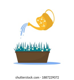 Flowerpot with camomiles. Water is pouring from a yellow watering can. The concept of caring for plants or watering flowers. Vector image. Flat style.