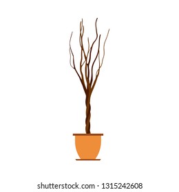 Flowerpot floral gardening decorative element vector icon. Green plant house flat illustration interior office vase