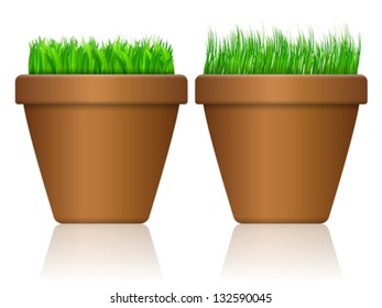 Flowerpot with grass on a white background.
