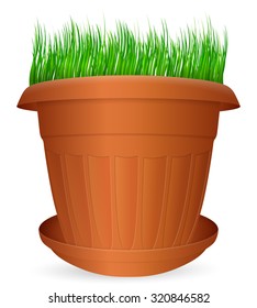 Flowerpot grass on a white background. Vector illustration.