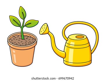Flowerpot with green plant and yellow watering can isolated